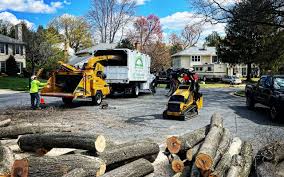 Seasonal Cleanup (Spring/Fall) in Corte Madera, CA